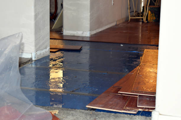 Professional Water Extraction technician working in Snover, MI